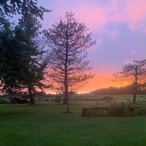 Meet your Posher, Alison